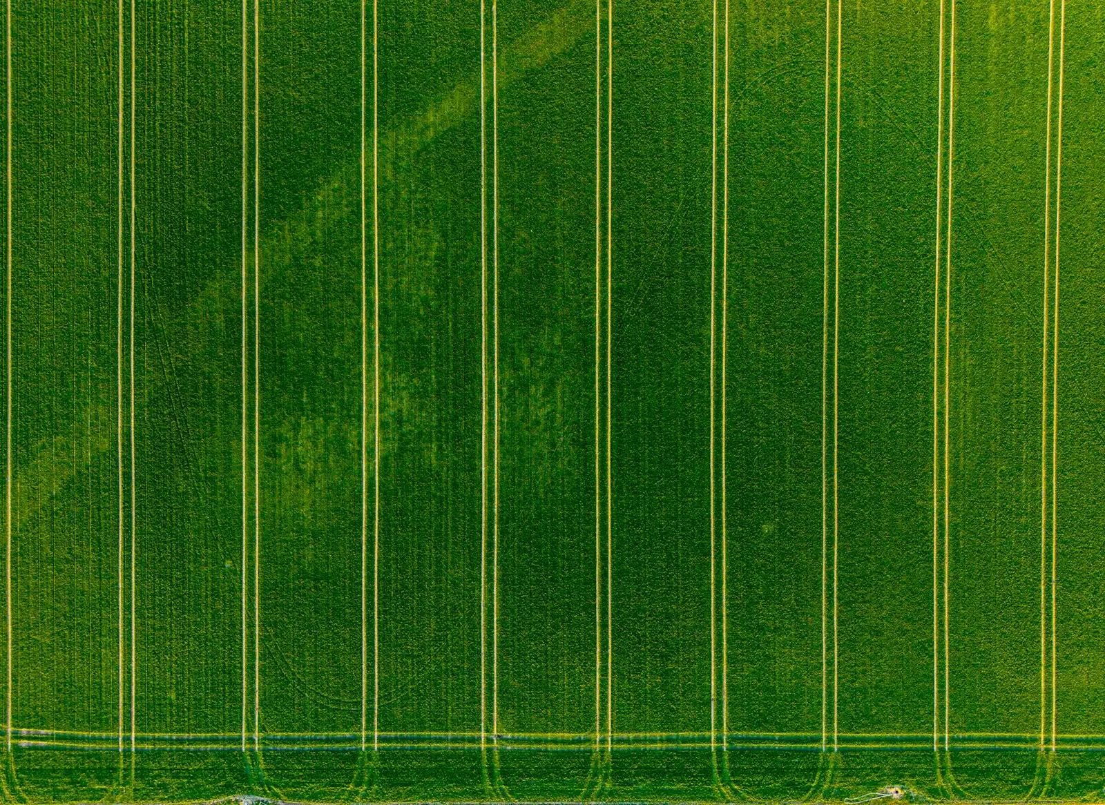 Agricultural fields viewed from above